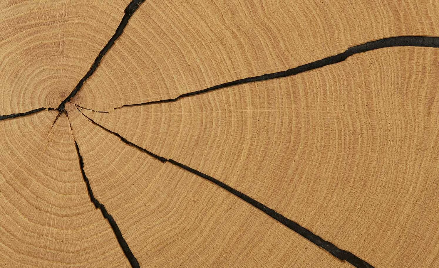 Wohnwert Standelement Novum | Weiß rechts 11 Wohnwert Standelement Novum | Weiß rechts – Bild 11