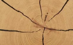 Wohnwert Standelement Novum | Anthrazit links -Kommode & Sideboards Verkäufe 11225881 3 202112101235