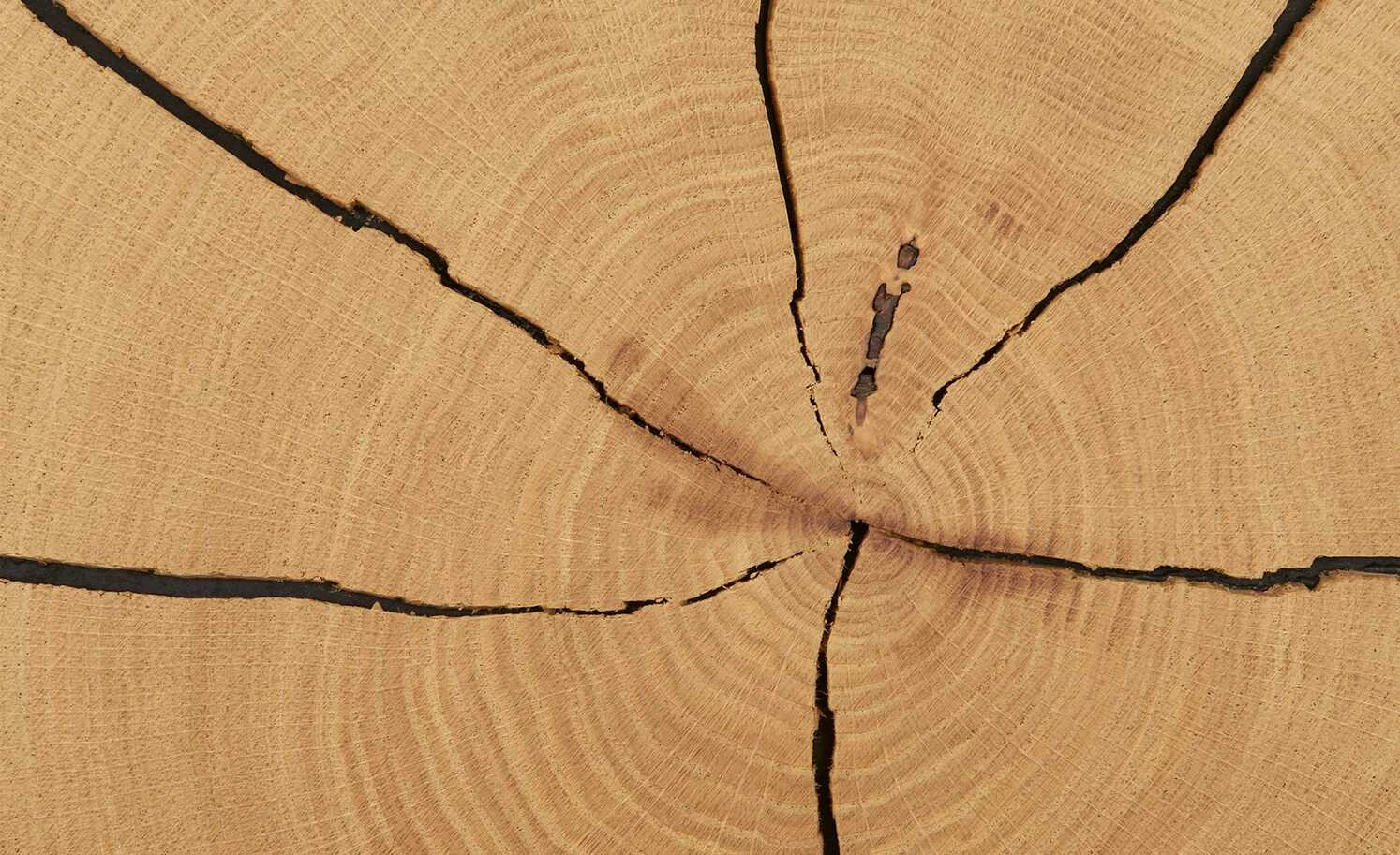 Wohnwert Standelement Novum | Weiß links 4 Wohnwert Standelement Novum | Weiß links – Bild 4