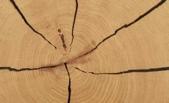 Wohnwert Standelement Novum | Weiß rechts -Kommode & Sideboards Verkäufe 11226064 1 202112092232