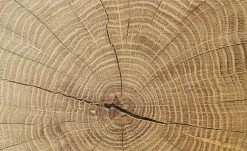 Sideboard Cortina | Weiß/ Eiche Altholz (Nachbildung) -Kommode & Sideboards Verkäufe 12203596 8 202106232232