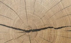 Hängevitrine Cortina | Weiß / Eiche Altholz (Nachbildung) 29 Hängevitrine Cortina | Weiß / Eiche Altholz (Nachbildung) -Kommode & Sideboards Verkäufe 12204470 11 202106281241