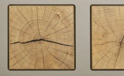 Sideboard Cortina | Basaltgrau / Eiche Altholz (Nachbildung) 28 Sideboard Cortina | Basaltgrau / Eiche Altholz (Nachbildung) -Kommode & Sideboards Verkäufe 12209109 3 201908222239