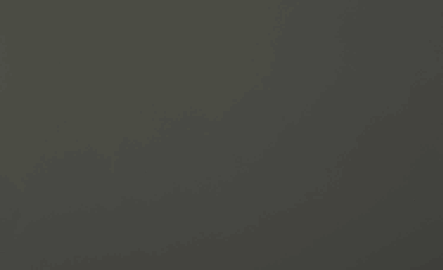 Berger & Rath Sideboard Claro | Anthrazit Sichtbare Rückwand: Wildnussbaum 8 Berger & Rath Sideboard Claro | Anthrazit Sichtbare Rückwand: Wildnussbaum – Bild 8