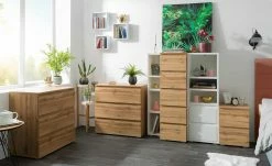 Kommode Tarent | Honigeiche (Nachbildung) / Weiß Ausführung IV