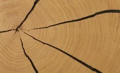 Wohnwert Standelement Novum | Anthrazit links -Kommode & Sideboards Verkäufe 13200046 11 202112101235