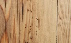 Highboard Pinto -Kommode & Sideboards Verkäufe 13205543 2 202112310030