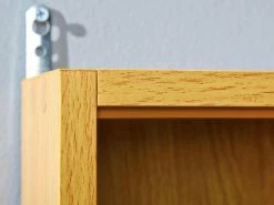 Sammler-Vitrine Acquario | Buche -Kommode & Sideboards Verkäufe 13206141 4 202110291259