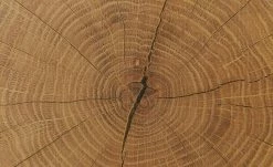 Barschrank Cortina | Eiche Altholz (Nachbildung) / Schwarz -Kommode & Sideboards Verkäufe 13207056 12 202209212234