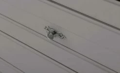 maison bleue Highboard Petit Chalet | Graphitgrau / Asteiche mit Glasboden 29 maison bleue Highboard Petit Chalet | Graphitgrau / Asteiche mit Glasboden -Kommode & Sideboards Verkäufe 13232380 12 202207111247