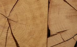 TV-Lowboard Enego -Kommode & Sideboards Verkäufe 13345987 2 202004172241