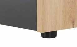 TV-Lowboard Nisio -Kommode & Sideboards Verkäufe 13346733 7 202101071609